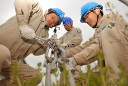 春檢問責(zé)保質(zhì)量