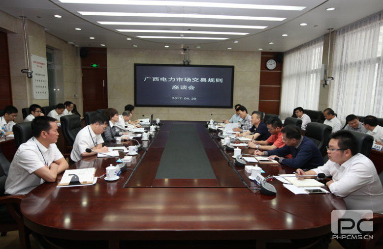 國家能源局南方監管局副局長高玉樵到廣西調研