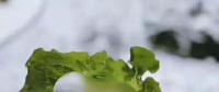 氣荒之后，又輪到了電煤供給的緊張局面