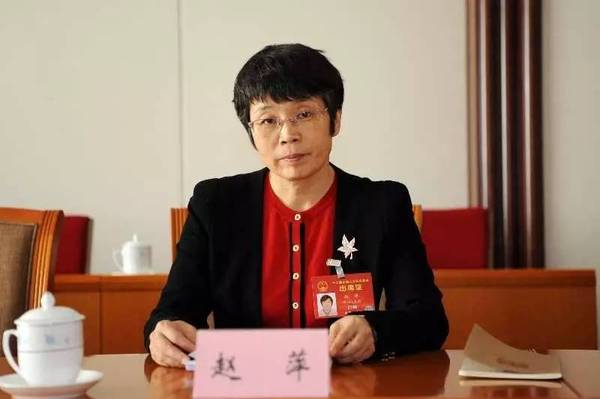 東方風(fēng)電趙萍：海上風(fēng)機(jī)大型化是趨勢，中國已落后一步