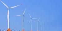 793臺風機！江蘇全省三分之一風電總裝機落戶如東