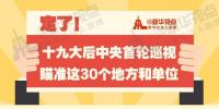 定了！華電集團、中核集團將接受十九屆中央第一輪巡視