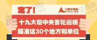定了！華電集團(tuán)、中核集團(tuán)將接受十九屆中央第一輪巡視