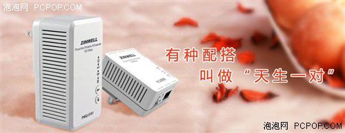 電力貓的版本眾多，從電力線傳輸技術上就可以分為HomePlug和G.hn，采用相同電力線通信技術的電力貓還可以分為有線電力貓和無線電力貓，而在無線電力貓中還有無線AP和無線路由的區(qū)別。外觀功能上的區(qū)別就更大了，以ZINWELL為例，就先后推出了單口有線電力貓，帶電源延長線的電力貓，多口有線電力貓，電力貓無線路由器，無線AP電力貓，帶電源插座的電力貓等。