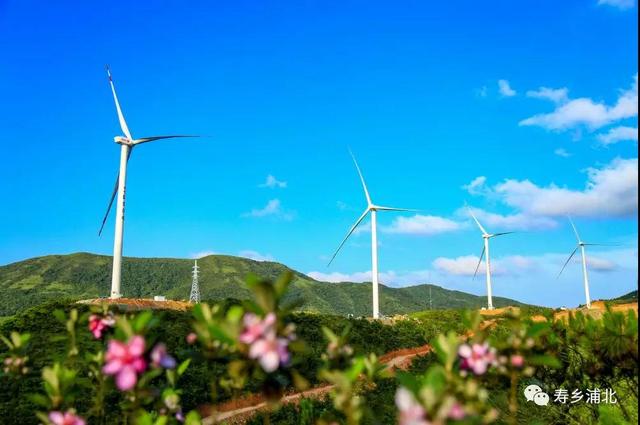 好一個龐然大物！欽州這個風電站建成這樣啦！