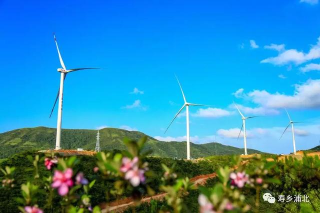 好一個龐然大物！欽州這個風電站建成這樣啦！
