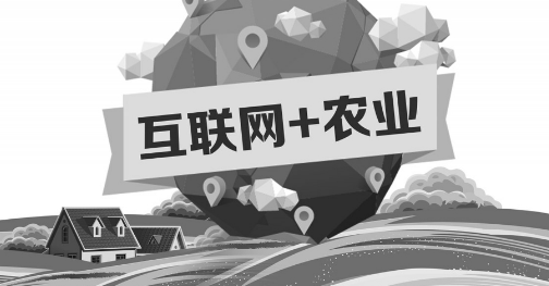 A5創業項目推薦：互聯網+農業能碰撞出怎樣的新發展？