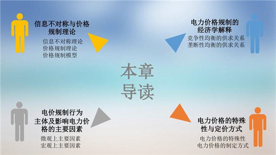 我國電力價格規制現狀、存在的問題及原因分析