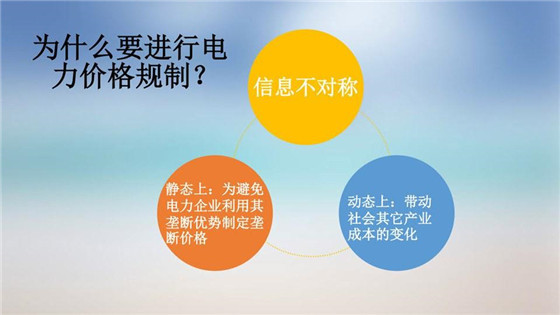 我國電力價格規制現狀、存在的問題及原因分析
