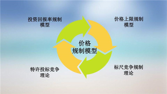 我國電力價格規制現狀、存在的問題及原因分析