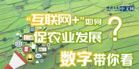 “互聯網+”如何促<font color=