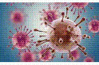 細菌也能作太陽能電池，<font color=