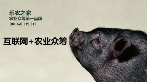 互聯網+農業(yè)眾籌只賺吆喝 利潤全被用戶拿走了？