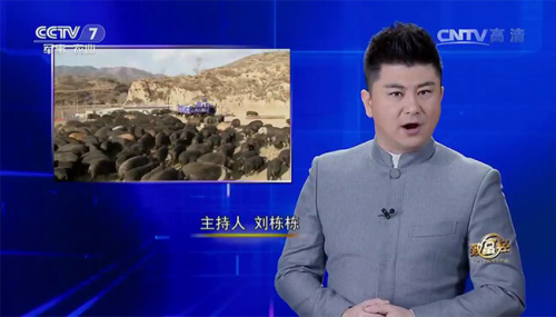 互聯網+農業(yè)眾籌只賺吆喝 利潤全被用戶拿走了？