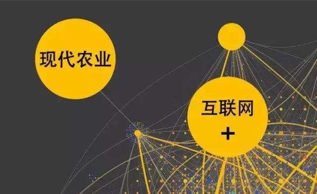 如何用“互聯(lián)網(wǎng)+”重塑農(nóng)業(yè)競(jìng)爭(zhēng)優(yōu)勢(shì)？