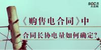 《購售電合同》中，合同<font color=
