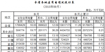 湖北9月電力運行情況:火電廠發(fā)電113.03億千瓦時 增長35.31%