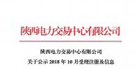 陜西電力交易中心有限公司關于公示2018年10月受理注冊及信息變更的售電公司相關信息的公告