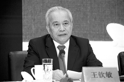 十二屆全國政協(xié)副主席、國家電子政務專家委員會主任王欽敏