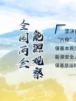 讀圖｜2020政府工作報告中這些內容，和能源電力有關！