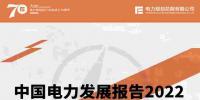 中國電力發展報告2022
